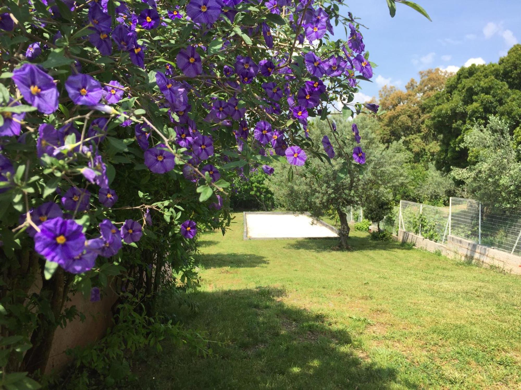 Oustaou Di Ercole Apartment Bormes-les-Mimosas Bagian luar foto